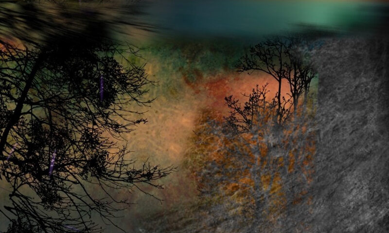 The album cover for Essences Referable to Nothingness features a dreamlike landscape. Silhouetted trees stand against a hazy, multi-colored sky that shifts from deep green to burnt orange. The foreground is shadowy and desaturated.