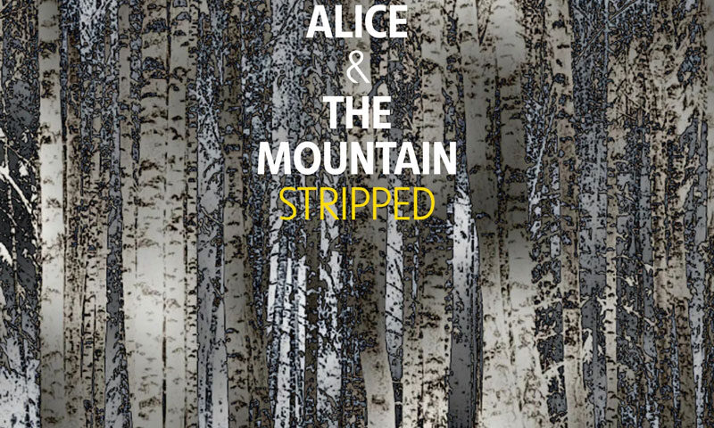 Alice & The Mountain – Stripped cover artwork. An image of dense woods.