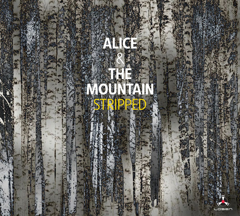 Alice & The Mountain – Stripped cover artwork. An image of dense woods.