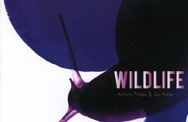 Anthony Phillips & Joji Hirota - Wildlife