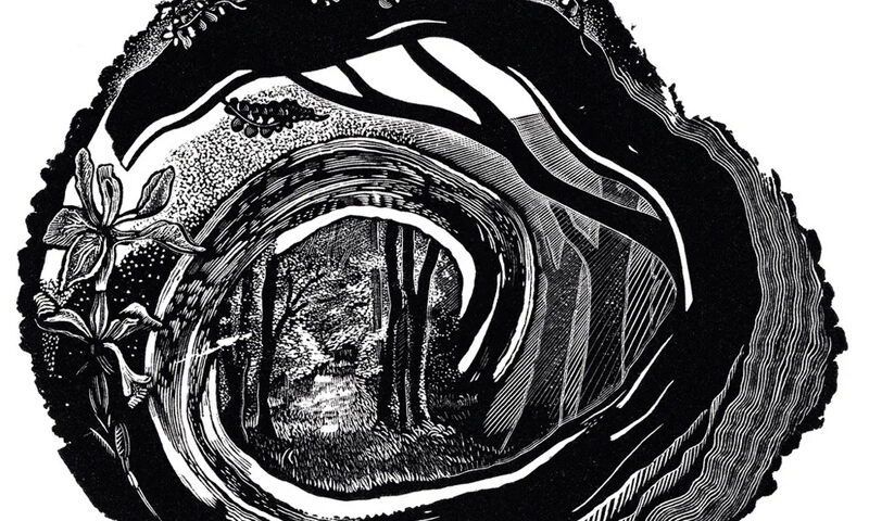 Big, Big, Train – Woodcut cover artwork. A black and white image of a woodcut with a nature scene.