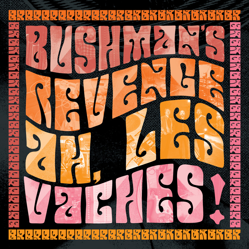 Bushman's Revenge - Ah, Les Vaches! cover artwork. The band name and album title in large neon pink and orange block letters.