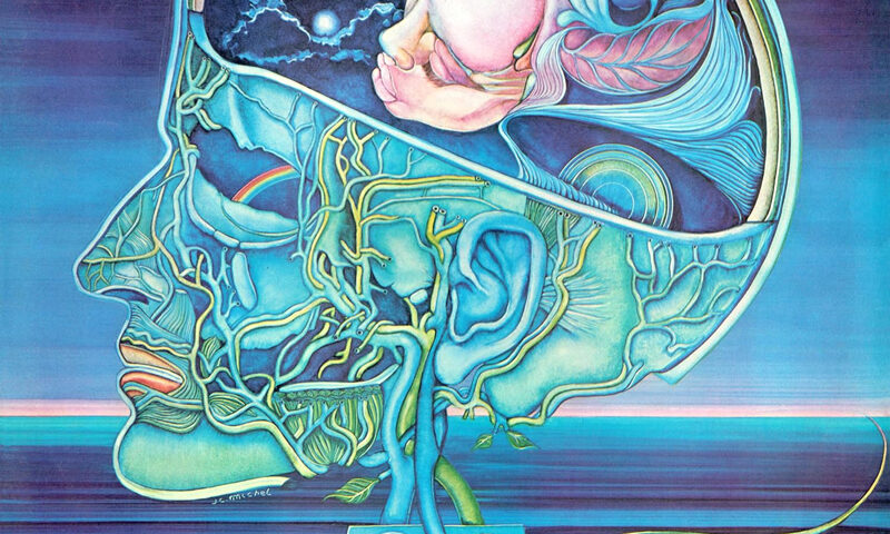 A blue-toned illustration of a human head in profile, cut open to reveal a fetus nestled inside amid cosmic imagery: stars, clouds, and flowing, vein-like structures. The background fades into a horizon over water, while cables connect the head to a small device below.