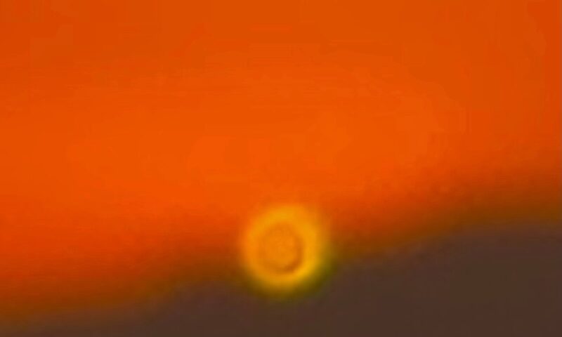 The album cover for Terminus by Cryptic Cadet features a design dominated by a fiery orange gradient that fades into dark brown. A blurred, glowing yellow circle near the center . The band's name appears in sharp black text in the top left, while the title Terminus is boldly placed in bright orange at the bottom right.