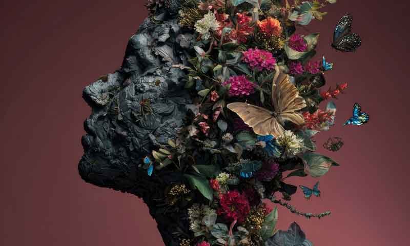 The album cover for Beautiful Chaos of Truth by Drifting in Silence features a profile silhouette of a human head made from dark, craggy rock. From the back of the head, vibrant flowers, lush greenery, and colorful butterflies burst outward. The background is a smooth gradient of deep maroon.