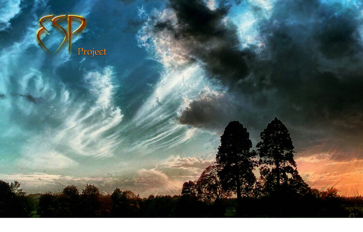 ESP Project - Reverie cover artwork. a landscape photo with two tall trees on the right and clouds in the distance.