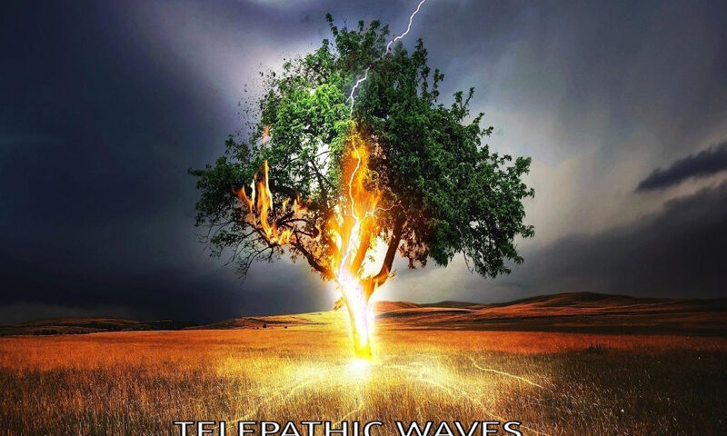 Enigmatic Sound Machines - Telepathic Waves cover artwork. A tree in a field struck by lightning.