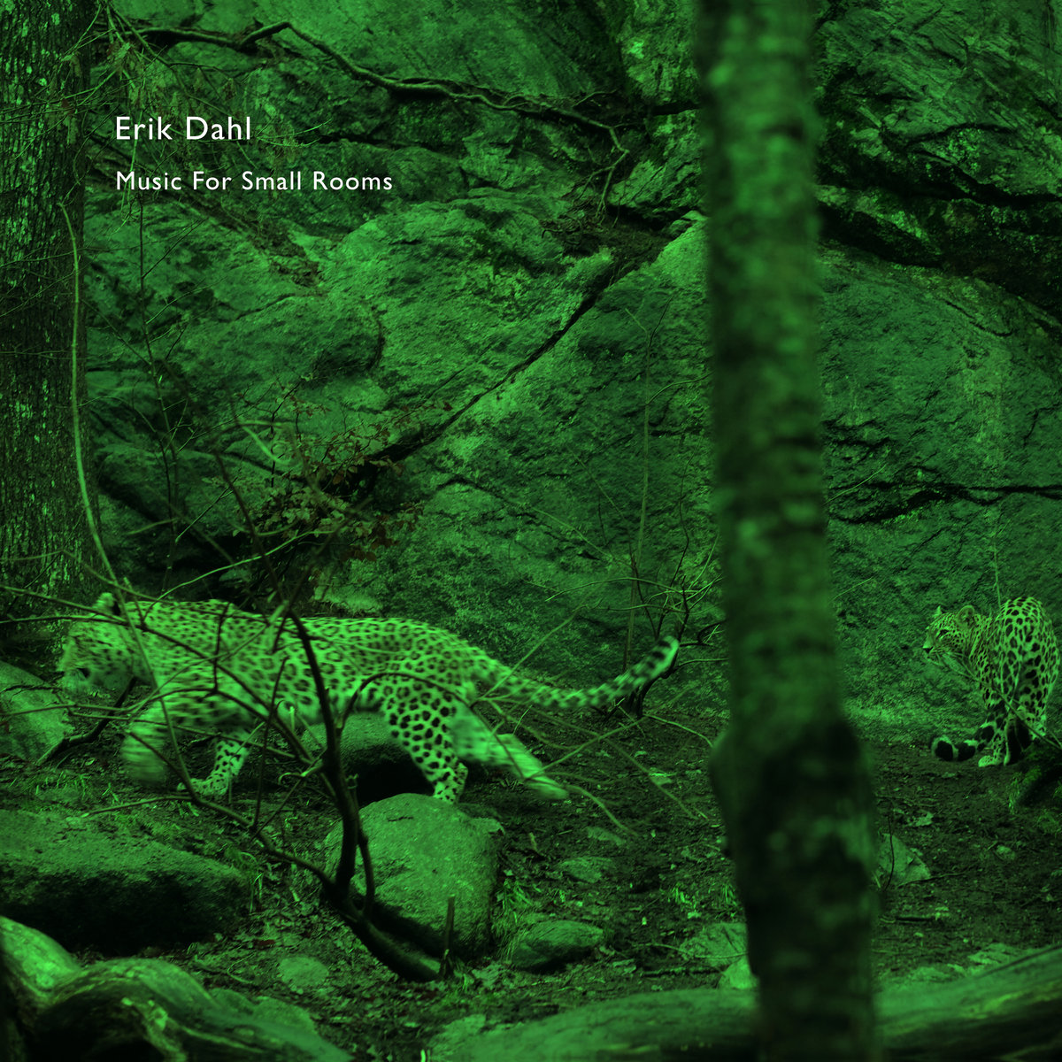 Erik Dahl - Music For Small Rooms