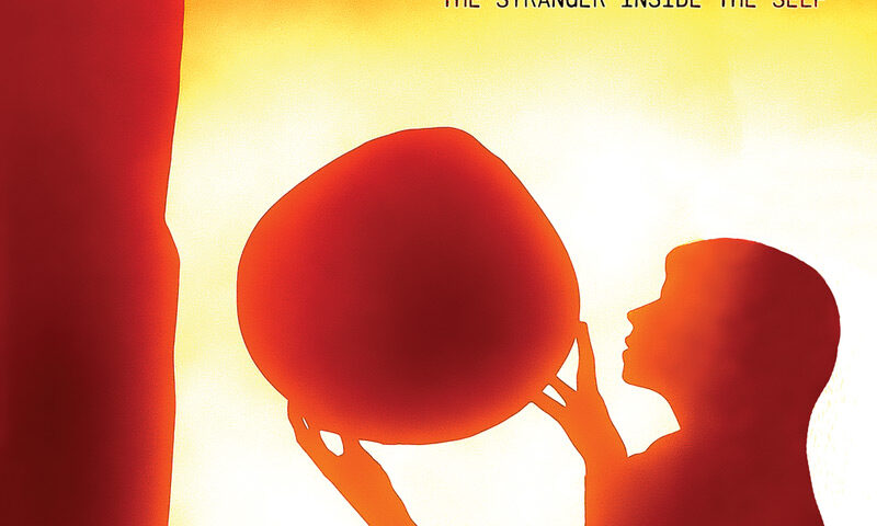 IT – The Stranger Inside the Self. A red image of a human holding a rock.
