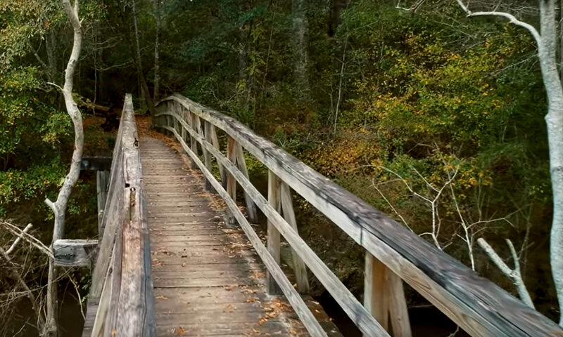 Jeff Pearce - And You Will Never Know. A wooden bridge in a forest.