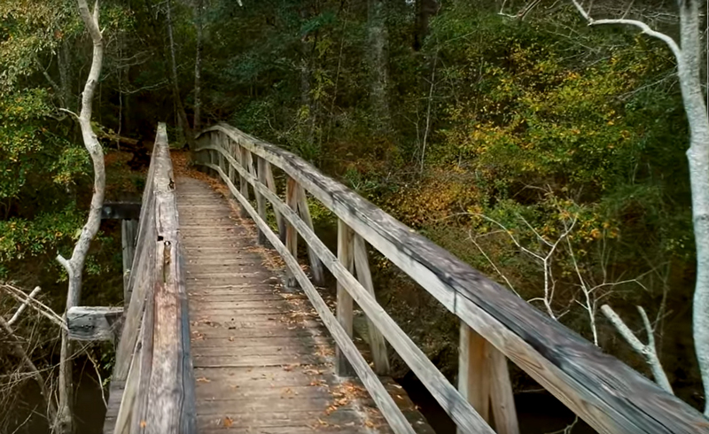 Jeff Pearce - And You Will Never Know. A wooden bridge in a forest.