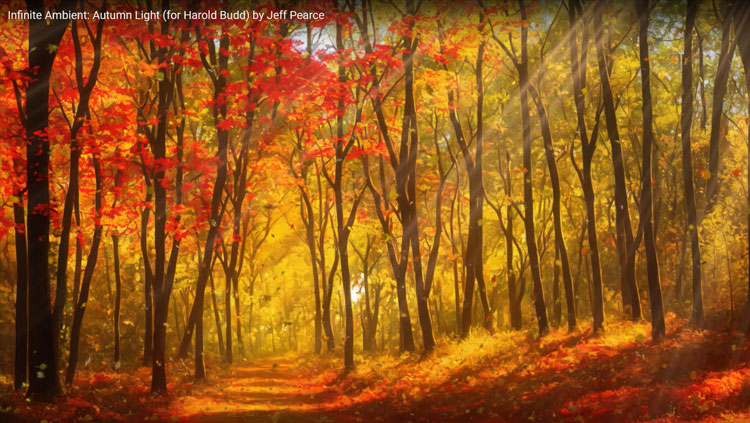 Jeff Pearce - Autumn Light woods during fall image