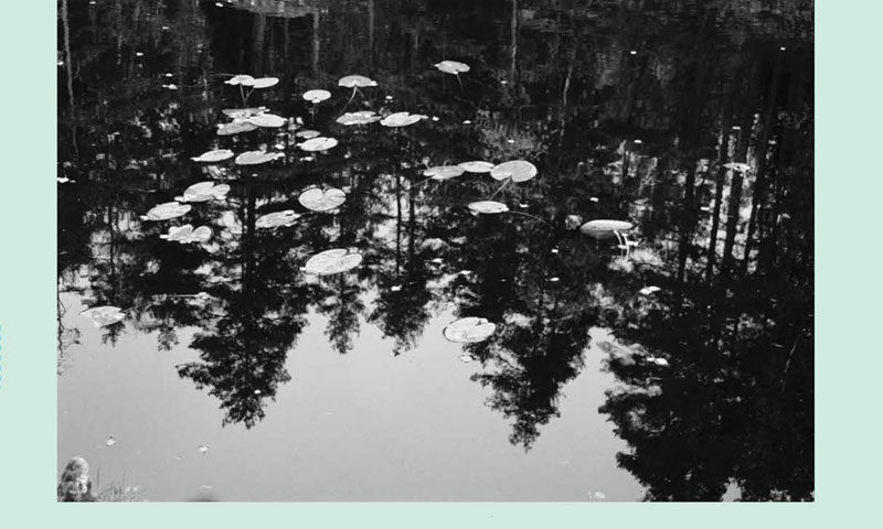 The Kontraster album cover by Jordsjø & Breidablik features a black-and-white photograph of a still water surface reflecting a forest of tall trees, scattered with floating lily pads. Framing the photo is a pale mint-green border, with the band names in ornate, medieval-style black lettering at the top and the title Kontraster in matching type at the bottom.
