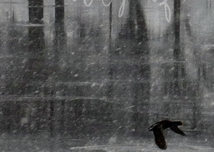 The cover of No Estoy Aquí by Juan Dahmen features a muted, grayscale image of a solitary bird in flight over a reflective, rain-swept surface. Blurred vertical forms in the background evoke an abstract cityscape or forest. The album title appears in soft, handwritten script across the top.