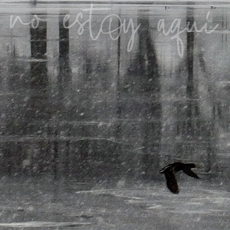 The cover of No Estoy Aquí by Juan Dahmen features a muted, grayscale image of a solitary bird in flight over a reflective, rain-swept surface. Blurred vertical forms in the background evoke an abstract cityscape or forest. The album title appears in soft, handwritten script across the top.
