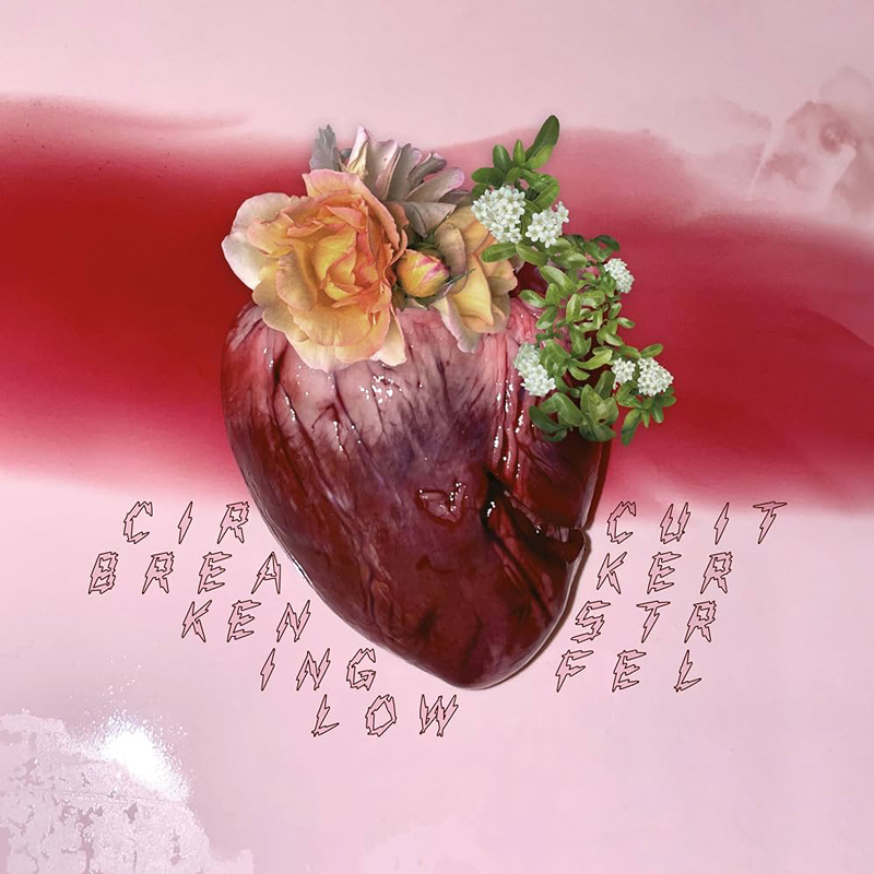 Ken Stringfellow – "Circuit Breaker" cover artwork. a heart covered with flowers.