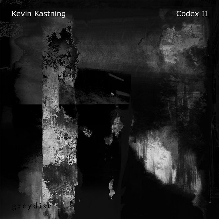 Codex II by Kevin Kastning. Black and white abstract cover.