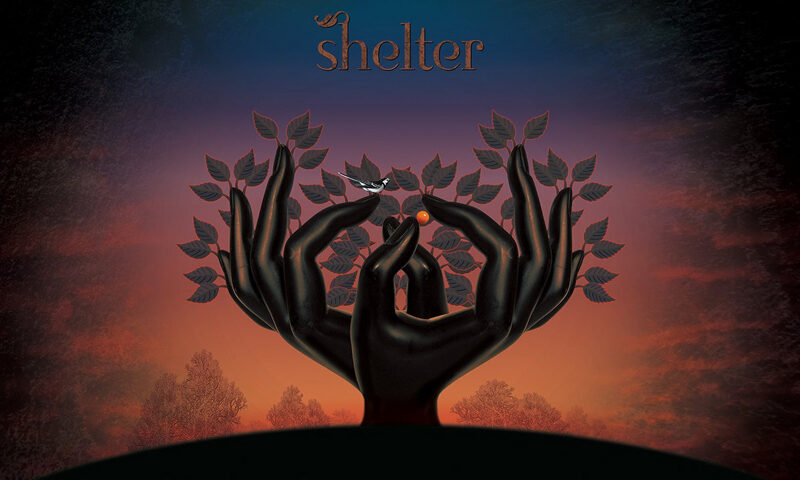 Laughing Stock - Shelter cover artwork. Two hands coming out of the earth holding tree branches with leaves.