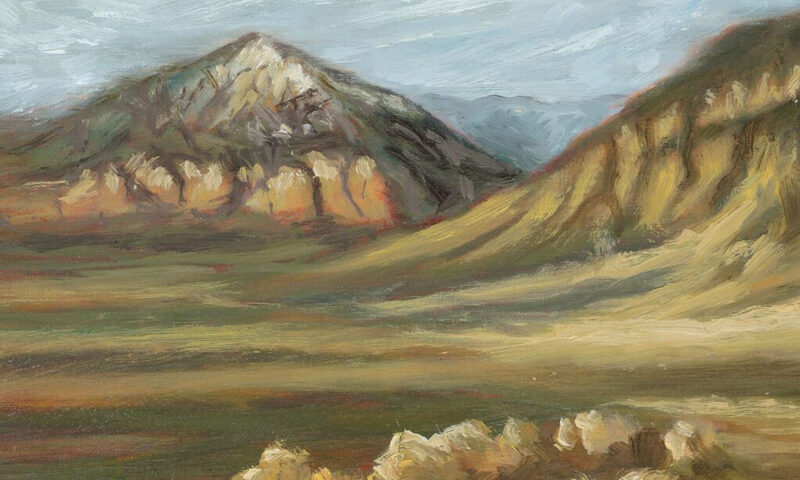 A soft, painterly landscape shows arid hills and brush under a swirling sky, with bold red lettering reading In The Rain Shadow.