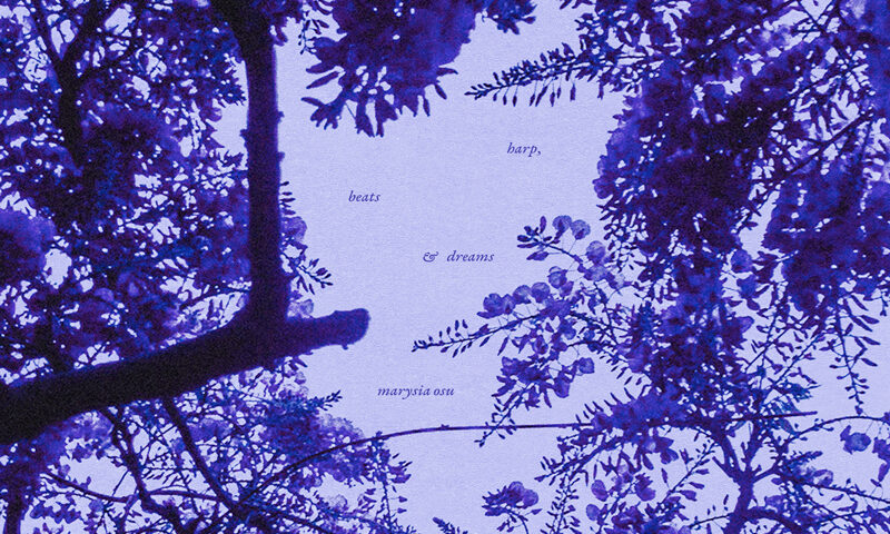 Marysia Osu - Seatime single artwork. a purple image of branches and leaves.