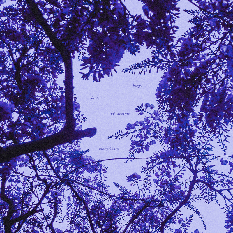 Marysia Osu - Seatime single artwork. a purple image of branches and leaves.