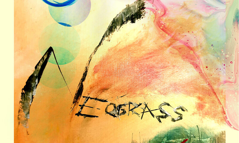 Neograss — Talisman cover artwork. A painting with yellows, pink, green, and blue.