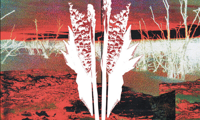 Sex Magick Wizards Suola ja Noaidi cover artwork. A high-contrast cover featuresn inverted-color landscape in reds, blacks, and whites beneath a dark crimson sky. At the center, a mirrored white form resembling feathers, bones, or ritual totems stands against a barren marsh with leafless trees. A black banner across the top displays the artist name "SEX MAGICK WIZARDS" and the album title "SUOLA JA NOAIDI" in bold white capital letters.
