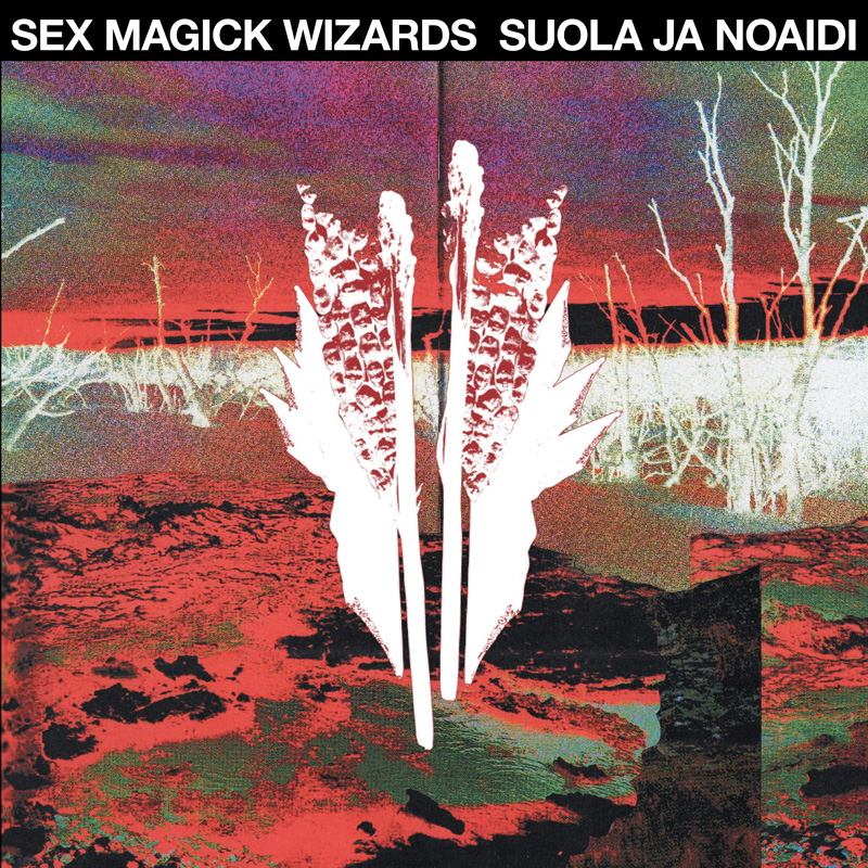 Sex Magick Wizards Suola ja Noaidi cover artwork. A high-contrast cover featuresn inverted-color landscape in reds, blacks, and whites beneath a dark crimson sky. At the center, a mirrored white form resembling feathers, bones, or ritual totems stands against a barren marsh with leafless trees. A black banner across the top displays the artist name "SEX MAGICK WIZARDS" and the album title "SUOLA JA NOAIDI" in bold white capital letters.