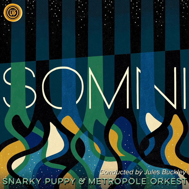 Snarky Puppy Somni cover artwork. An illustration of tree roots painted in various colors.