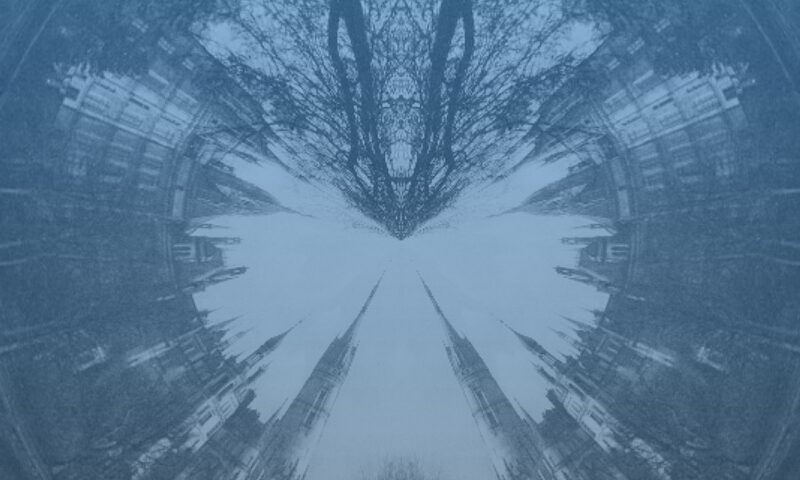 The album cover features the name Tabo Tago in bold white text across the top with mirrored horizontal lines on each side. A kaleidoscopic, blue-tinted image of trees and buildings fills the background, creating a symmetrical effect. At the bottom, a white strip displays the text: Sessions 017 | Live in Schwerin 20250308 in a typewriter-style font.