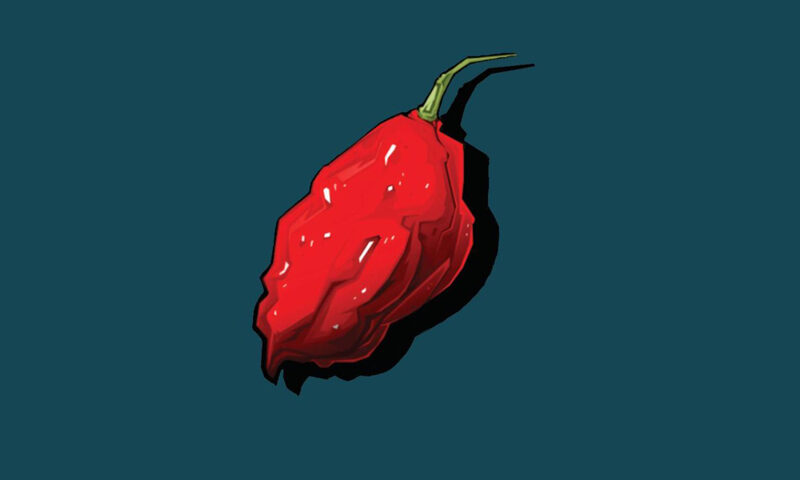 The Bob Lazar Story's Vanquisher album cover features a minimalist design with a single bright red chili pepper, possibly a ghost pepper, set against a deep teal background.