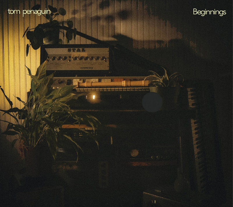 The Beginnings cover shows a dimly lit corner filled with vintage gear, including an amplifier, keyboards, and small plants arranged on and around the equipment.