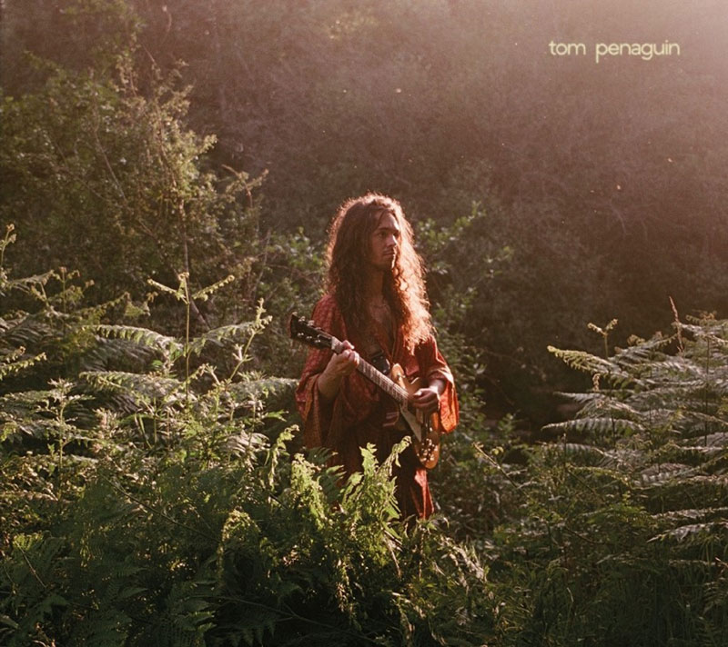 Tom Penaguin - Tom Penaguin cover artwork. The artist in a garden or forest playing electric guitar.