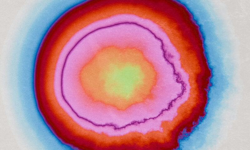 Violeta Vicci & Bruno Bavota - Be Human cover artwork. An image with several layers of colors, like a thermal image.