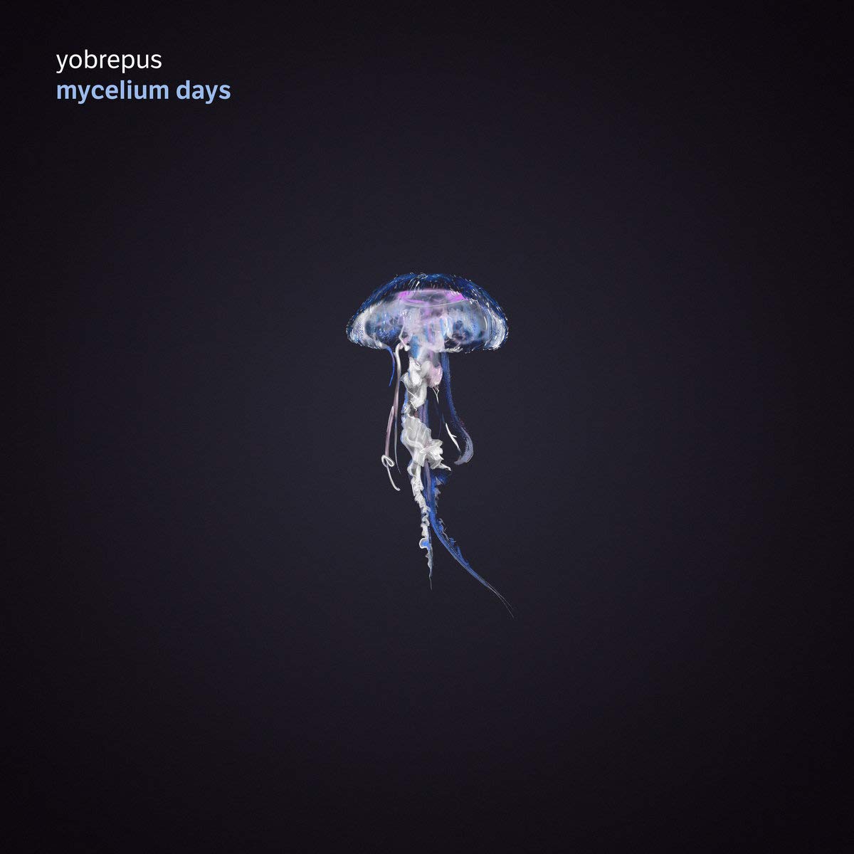 Yobrepus - Mycelium Days cover artwork. An image of a jellyfish.