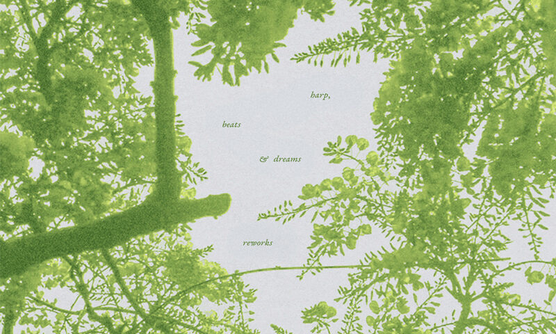The EP cover features a soft green-tinted view of tree branches and leaves against a pale sky. Minimal text in delicate lowercase reads “harp, beats & dreams reworks” at the center.