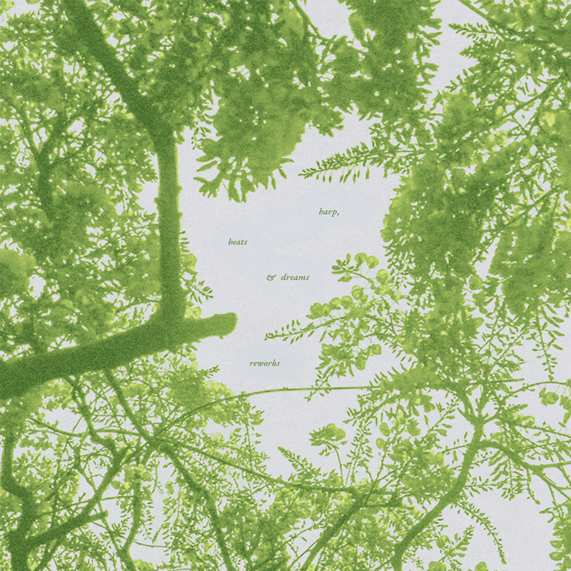 The EP cover features a soft green-tinted view of tree branches and leaves against a pale sky. Minimal text in delicate lowercase reads “harp, beats & dreams reworks” at the center.
